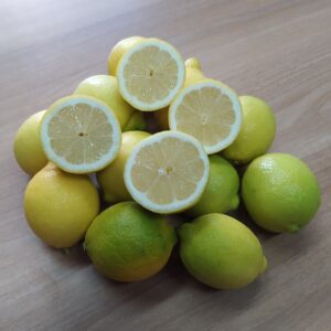 Limoni di Sicilia