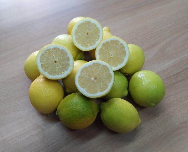 Limoni di Sicilia